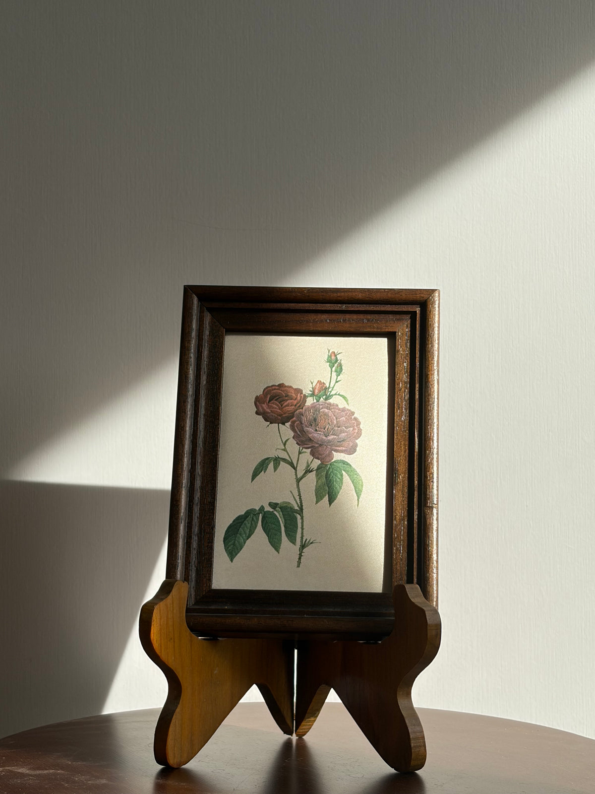 法國雷杜德《主教玫瑰》絲質植物畫|Le Rosier Évêque