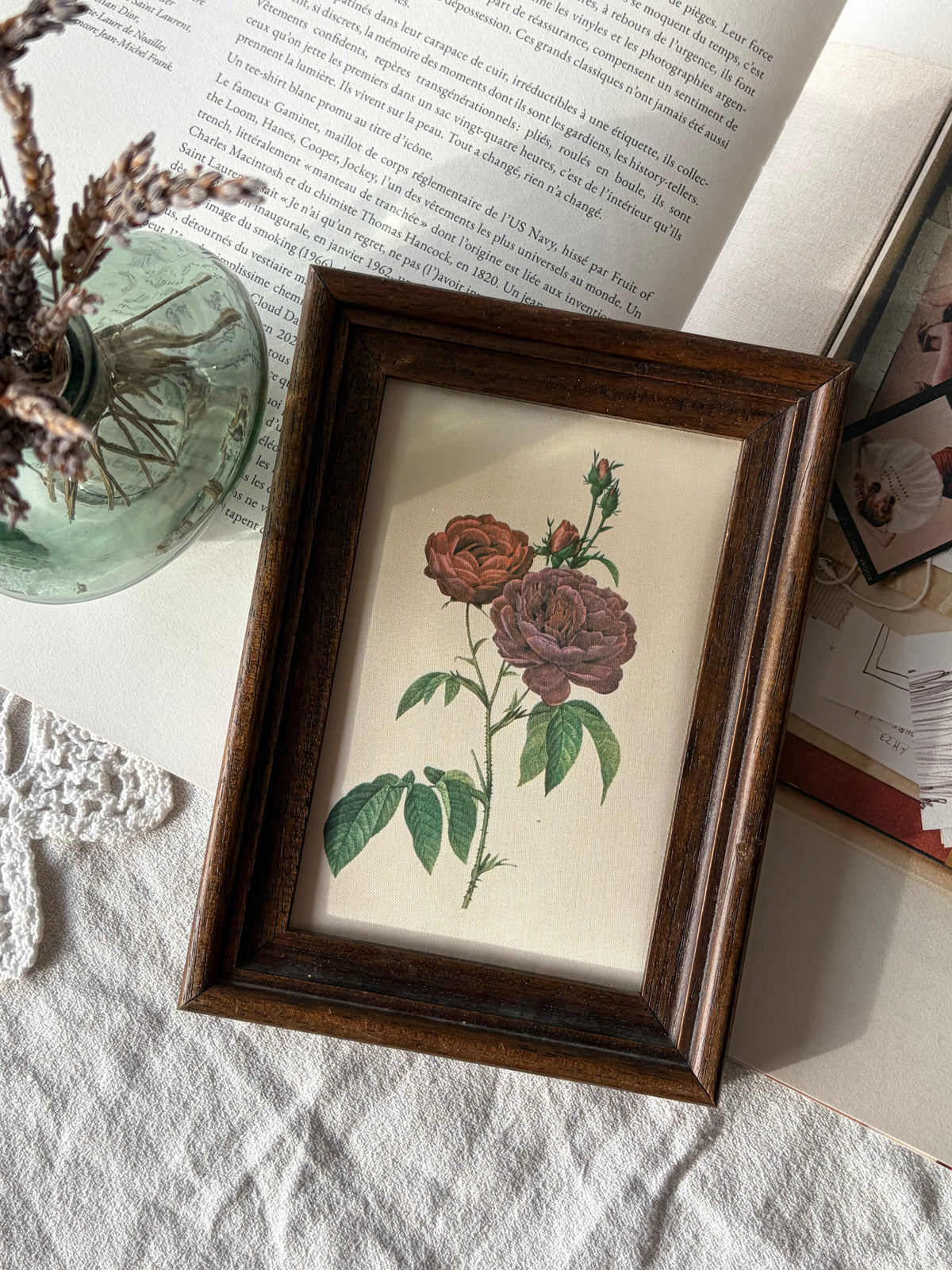 法國雷杜德《主教玫瑰》絲質植物畫｜Le Rosier Évêque