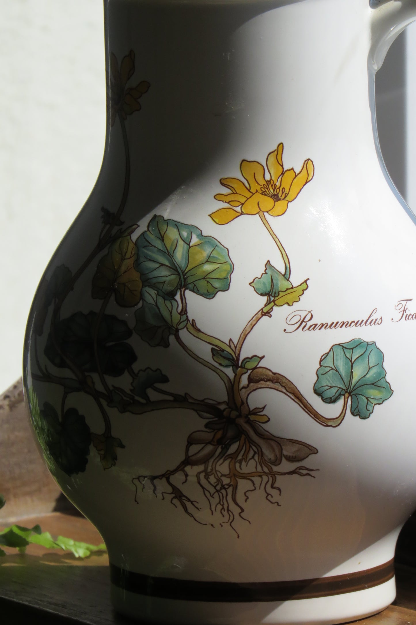 Villeroy & Boch <Botanica> 系列植物繪水壺